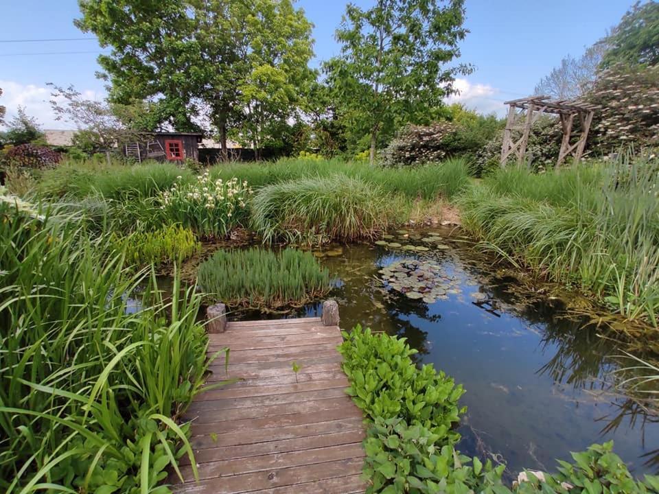 Vila Au Jardin De La Marquetterie Cigogne Exteriér fotografie