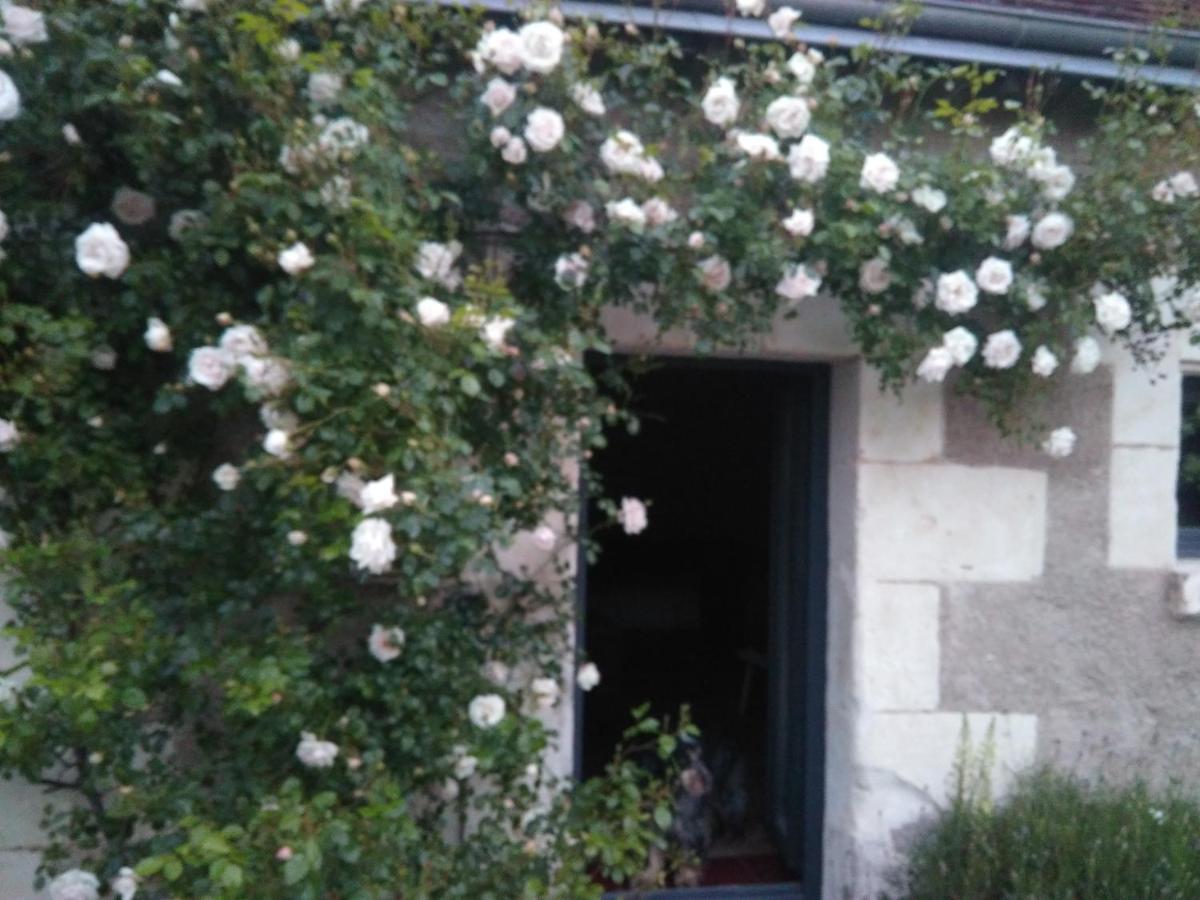 Vila Au Jardin De La Marquetterie Cigogne Exteriér fotografie