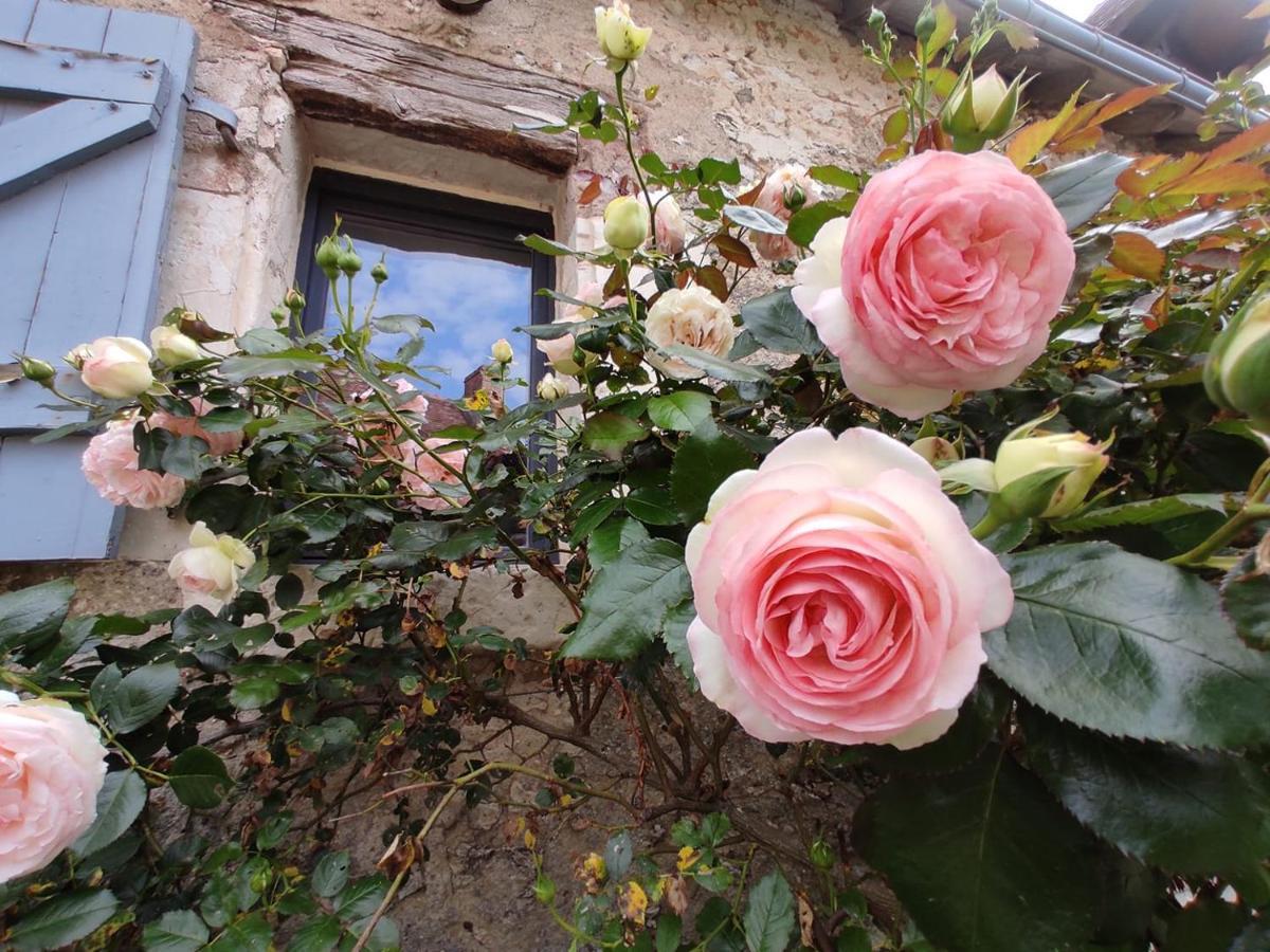 Vila Au Jardin De La Marquetterie Cigogne Exteriér fotografie