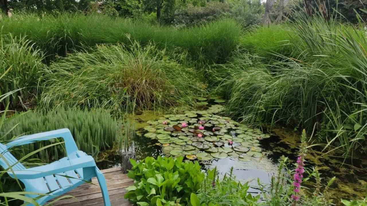 Vila Au Jardin De La Marquetterie Cigogne Exteriér fotografie