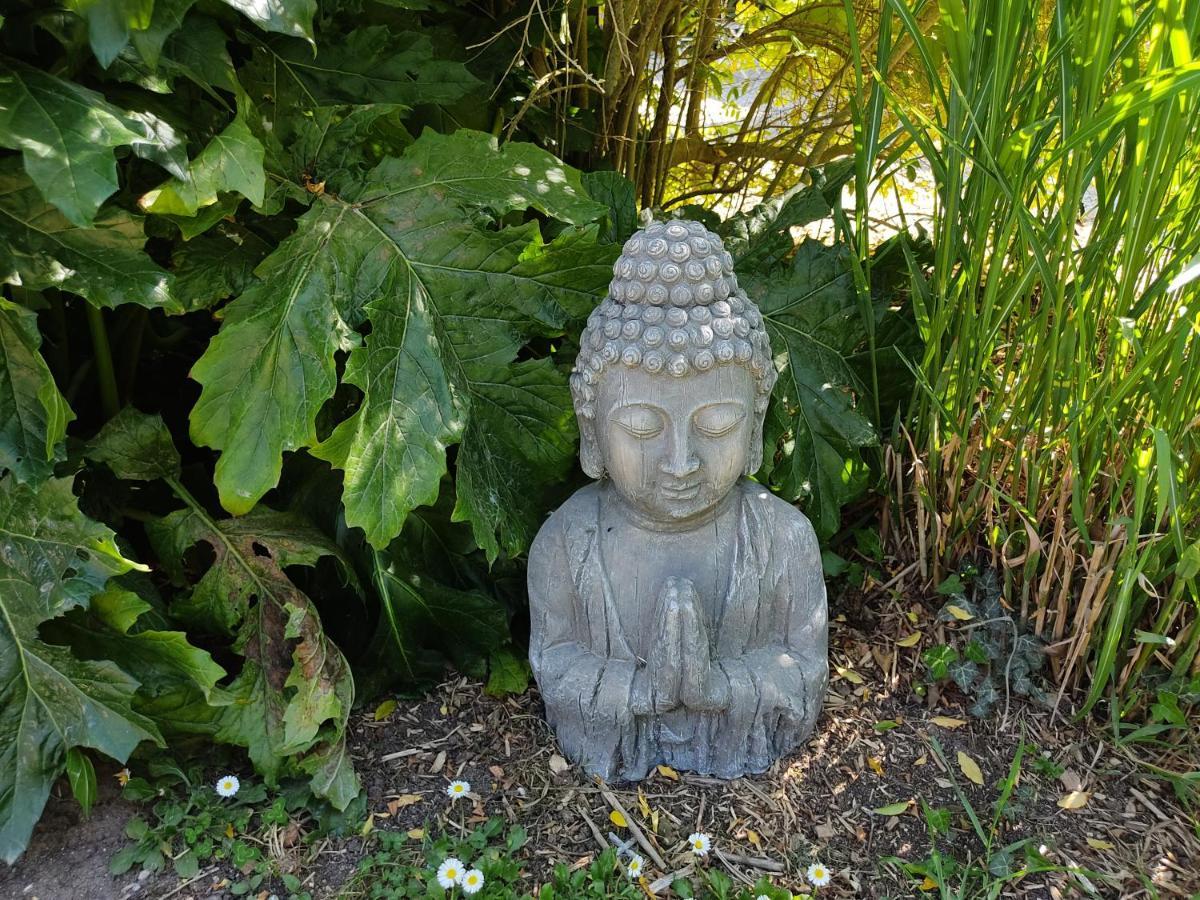 Vila Au Jardin De La Marquetterie Cigogne Exteriér fotografie