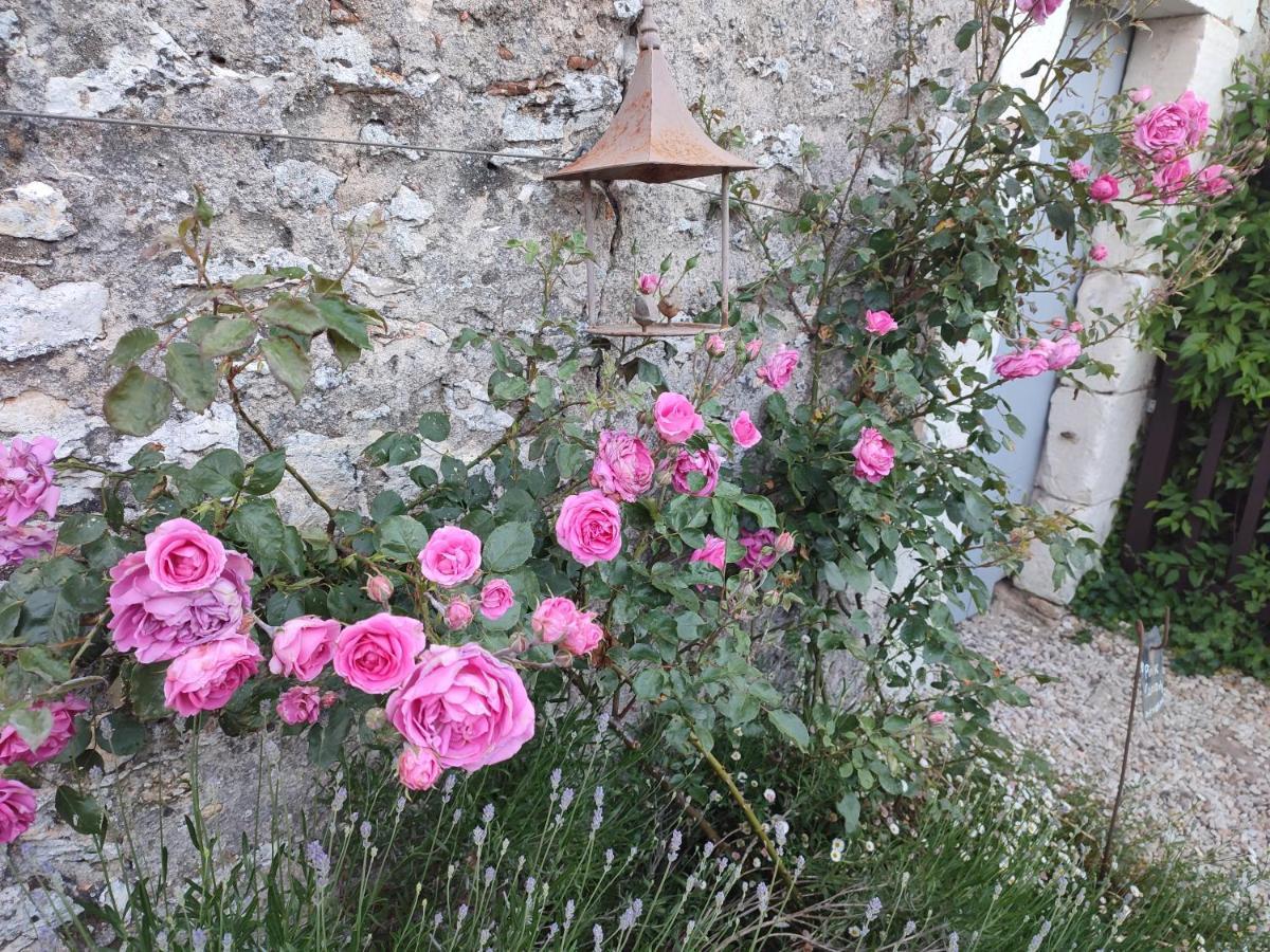 Vila Au Jardin De La Marquetterie Cigogne Exteriér fotografie